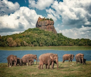 Sri Lanka
